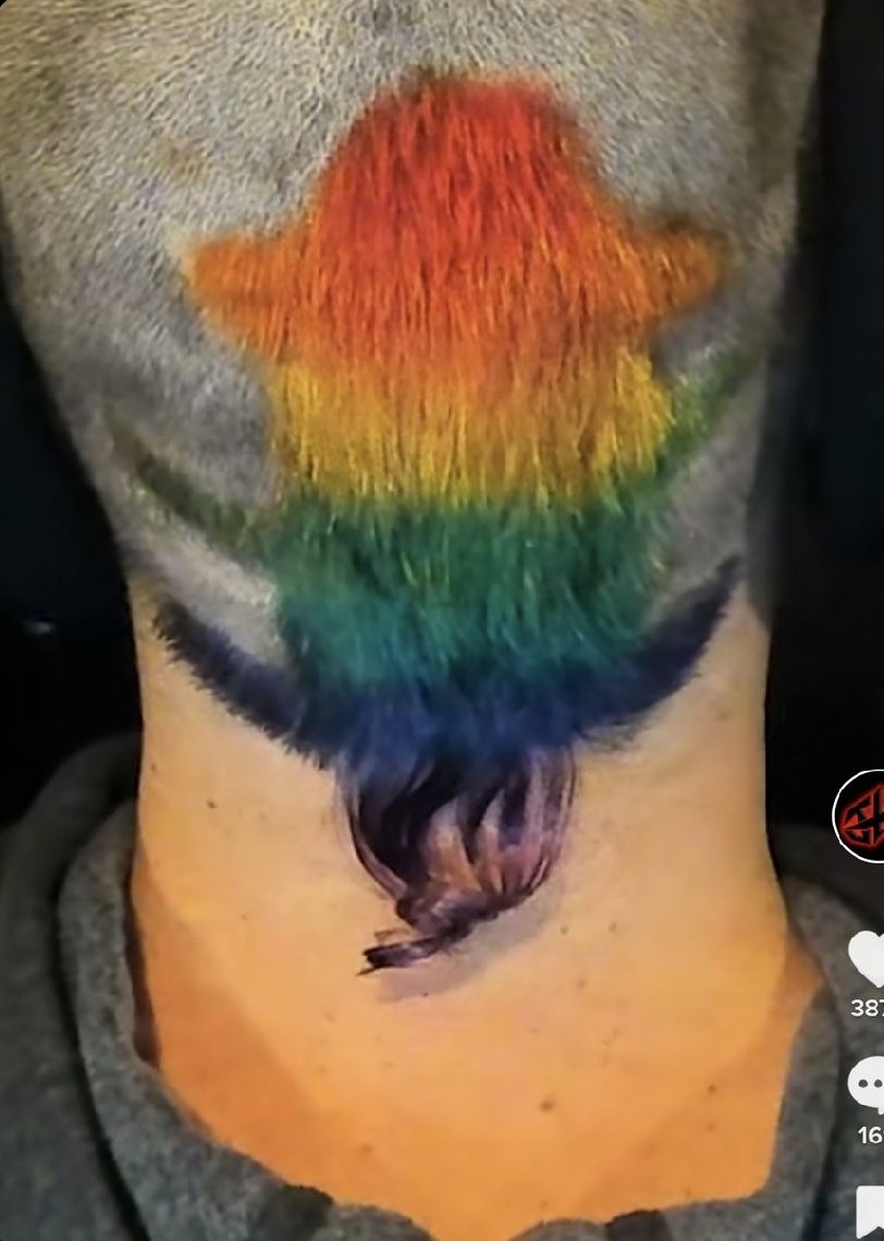 Dr.ChubzDPT tweet media