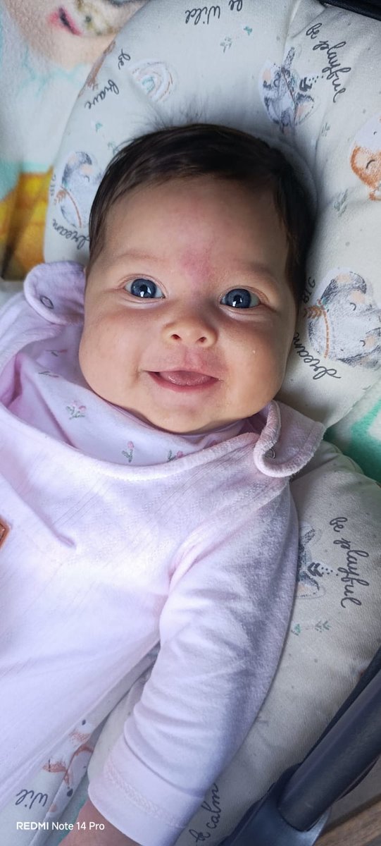 Beelborche's tweet photo. Mi bebita hermosa 🩷 https://t.co/o7NUpGOLnZ