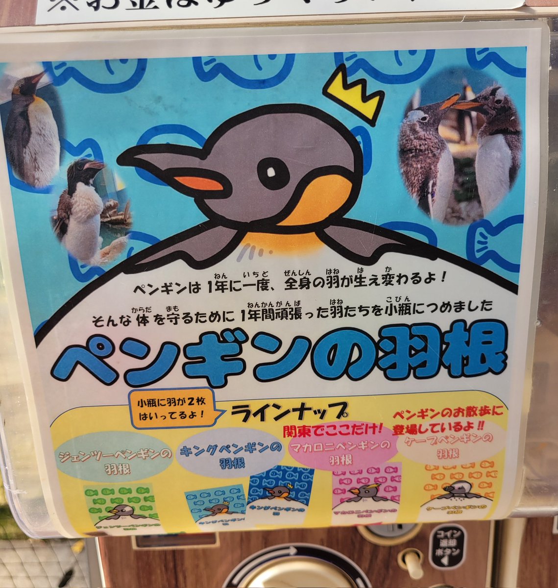 そら様パネル♡ハンカチ受付 そら様パネル【ハンカチ受付】