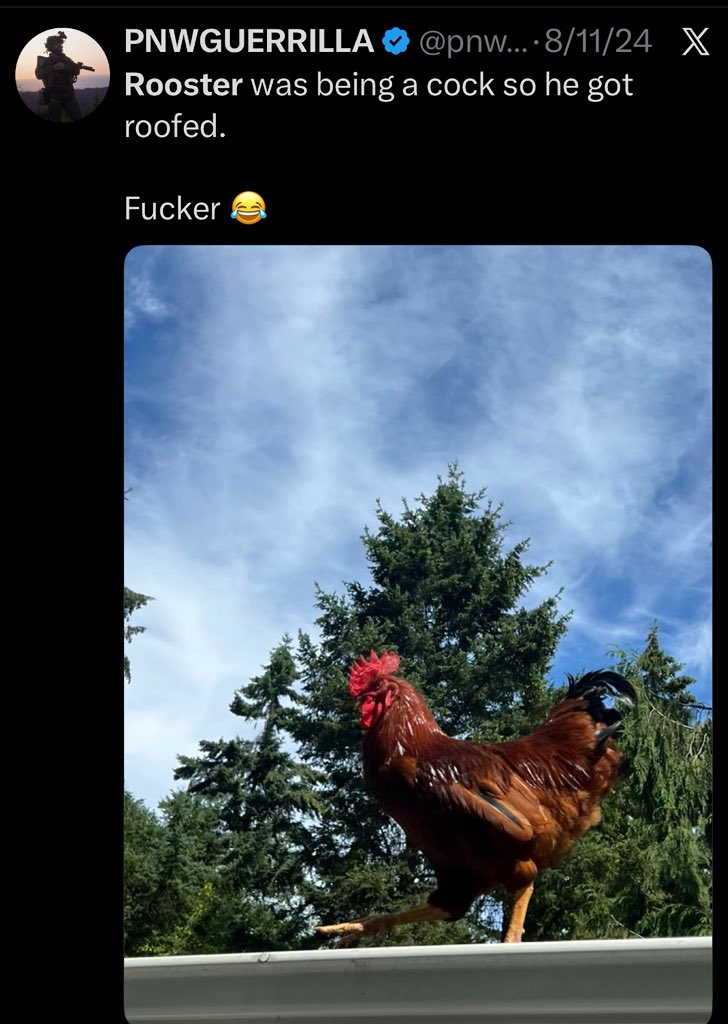 HowlingHogan's tweet image. Done