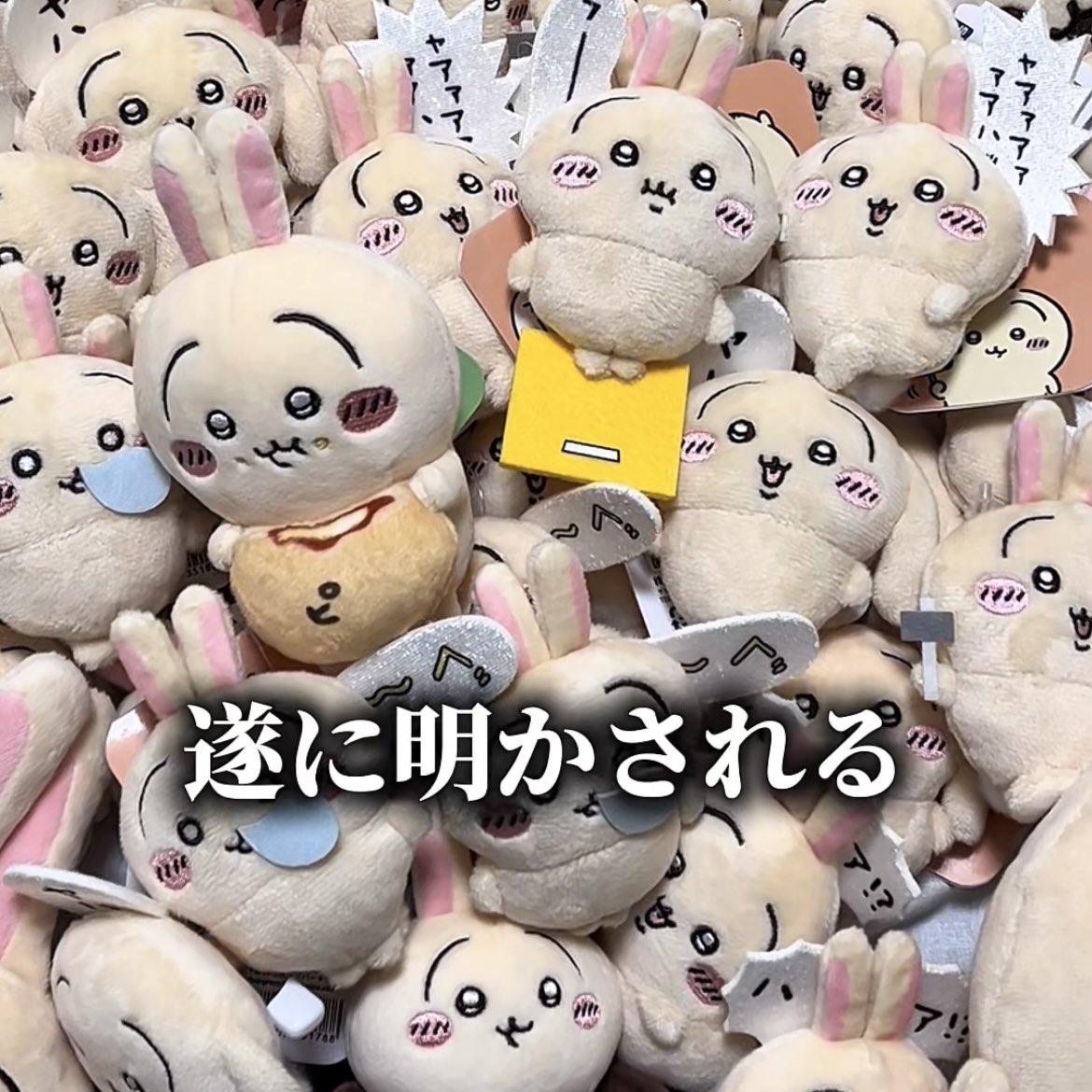 sato_cube's tweet image. ずっと未公開のままでした、ちいかわくじのうさぎだらけくじの結果を第100話にて先程公開いたしました。