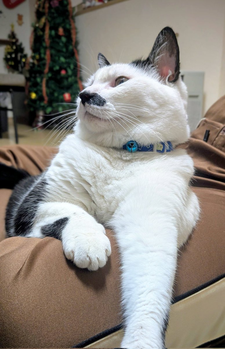 パン君💛雛🩷スノーくん🩵飼い主ちー❗ (@UKVzh6KVZGepivc) / Posts