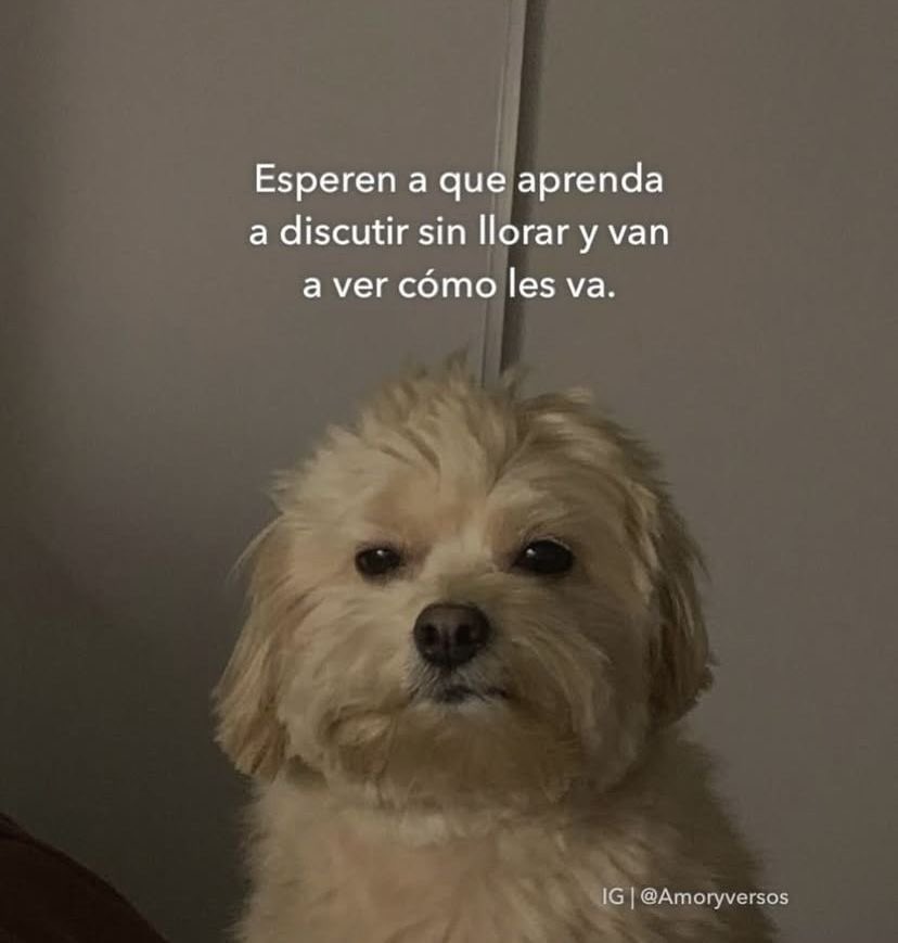 Dilo con dibujos (@dilocondibujos_) on Twitter photo 