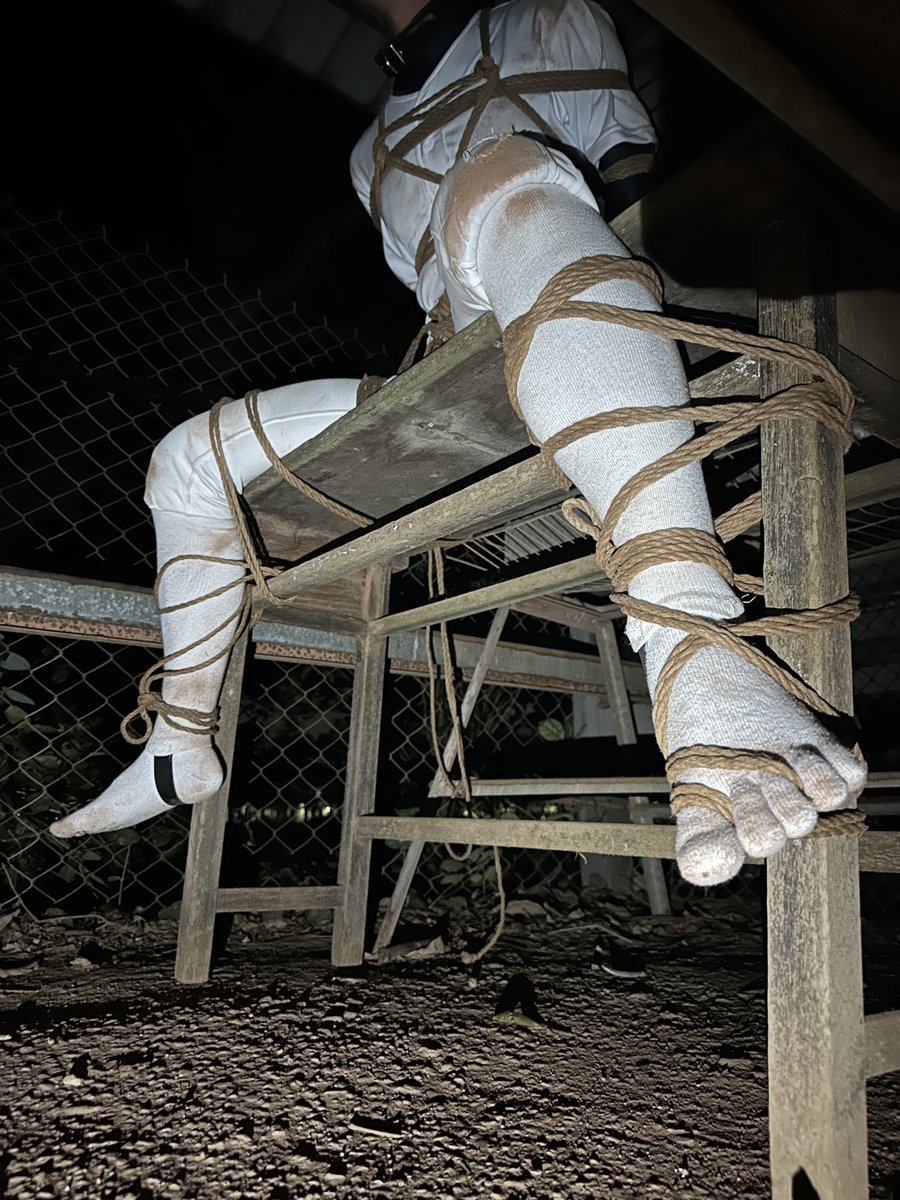 LEO｜mizuno野球 tweet media