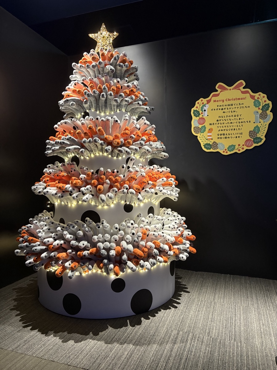 Sumida_Aquarium's tweet image. \ チンアナゴツリーが登場🎄✨/
1,111匹のチンアナゴたちが群れています！
よ～くみるとケンカをしているコも！拡大してみてね👀

ぜひ、お越しください！