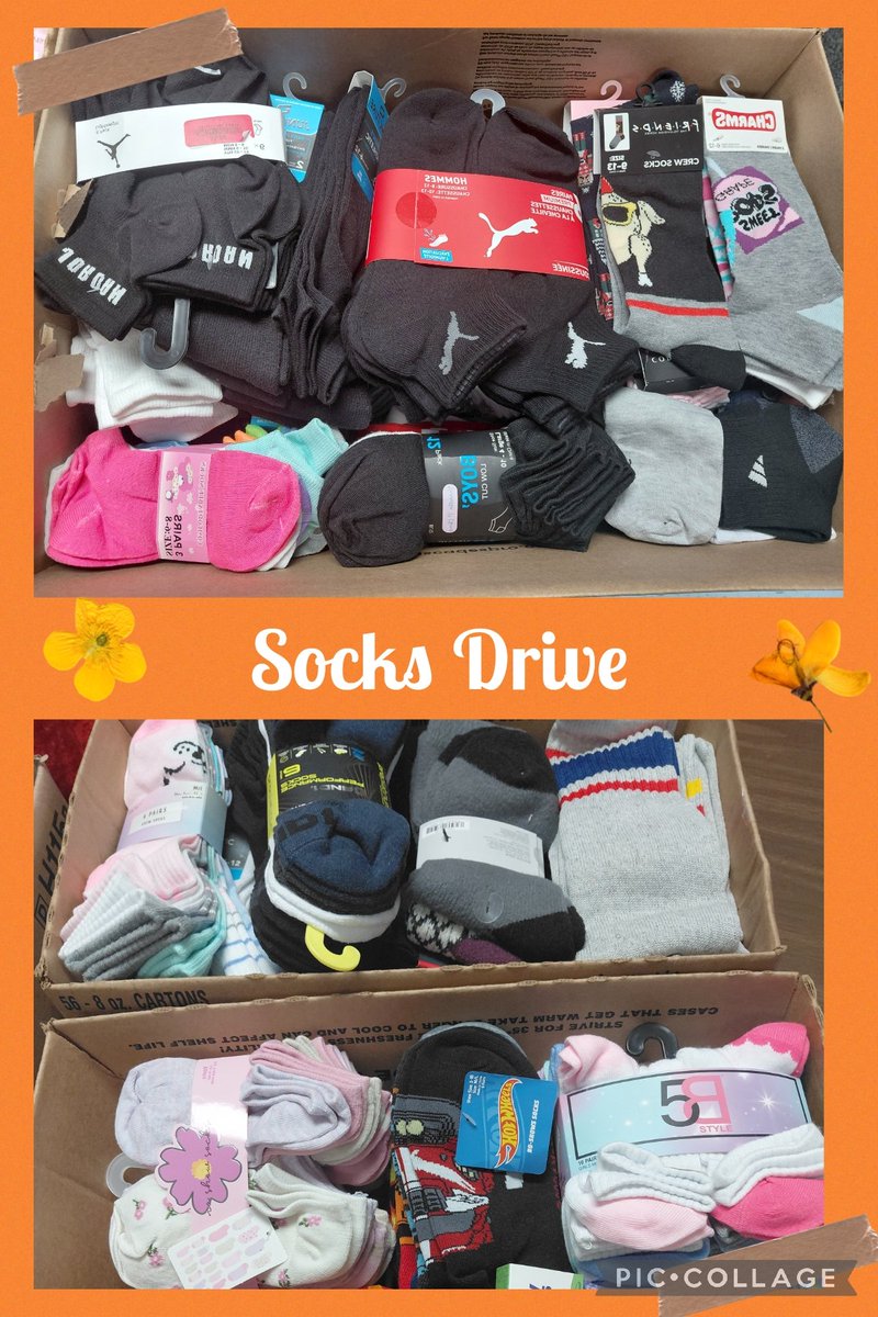 KLEfamily's tweet image. Today Project Upstart in partnership with the Homeless Trust picked up 651 pairs of socks. Thank you KLE family for all your support in this worthy cause. @HomelessTrust @ProjectUPSTART