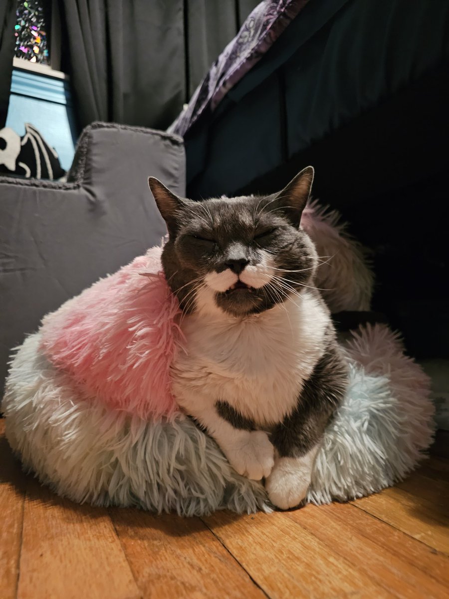 MissKittyMay tweet media