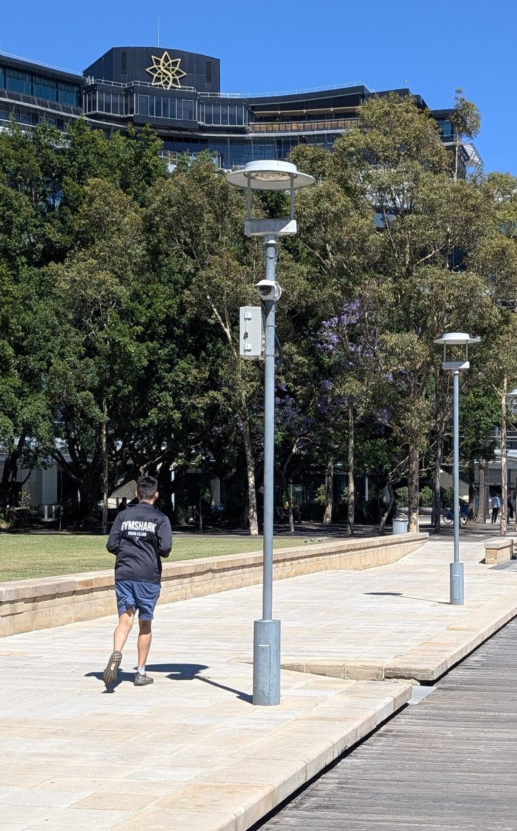 Ben Shipley tweet media