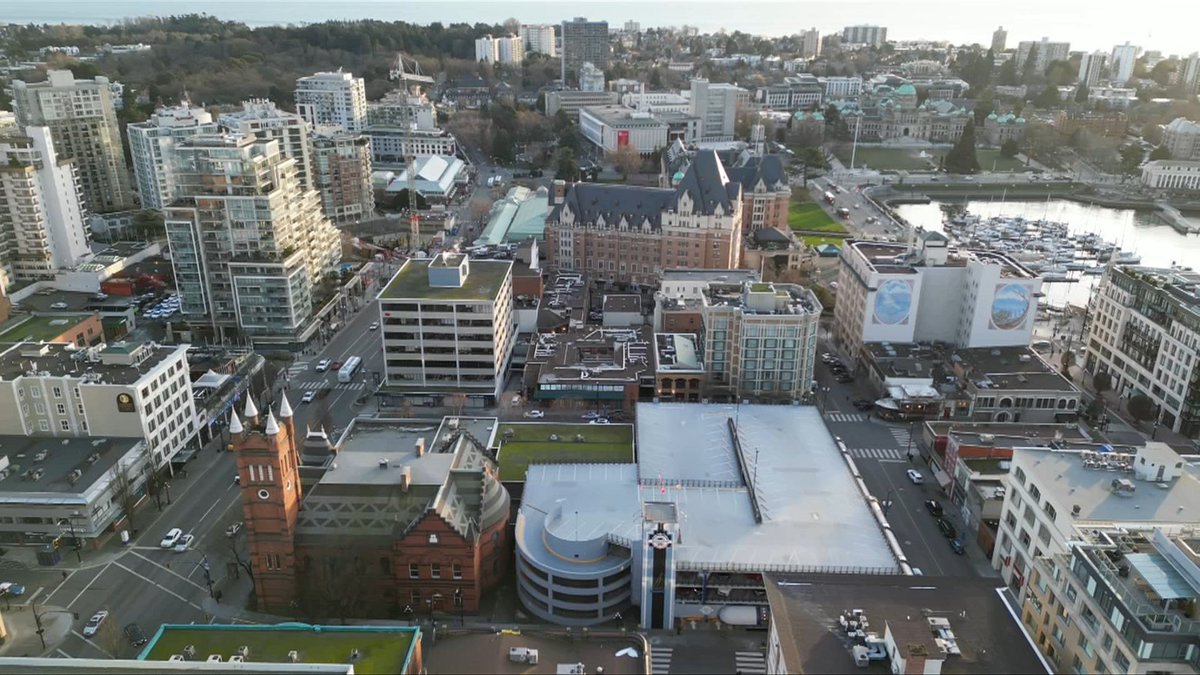 I'm looking to connect with young families that live in the downtown core. The largest growth of children in Victoria is in the downtown core! Does anyone live in the downtown with young kids, or know anyone that does? Please send me a DM! #yyj #victoriabc