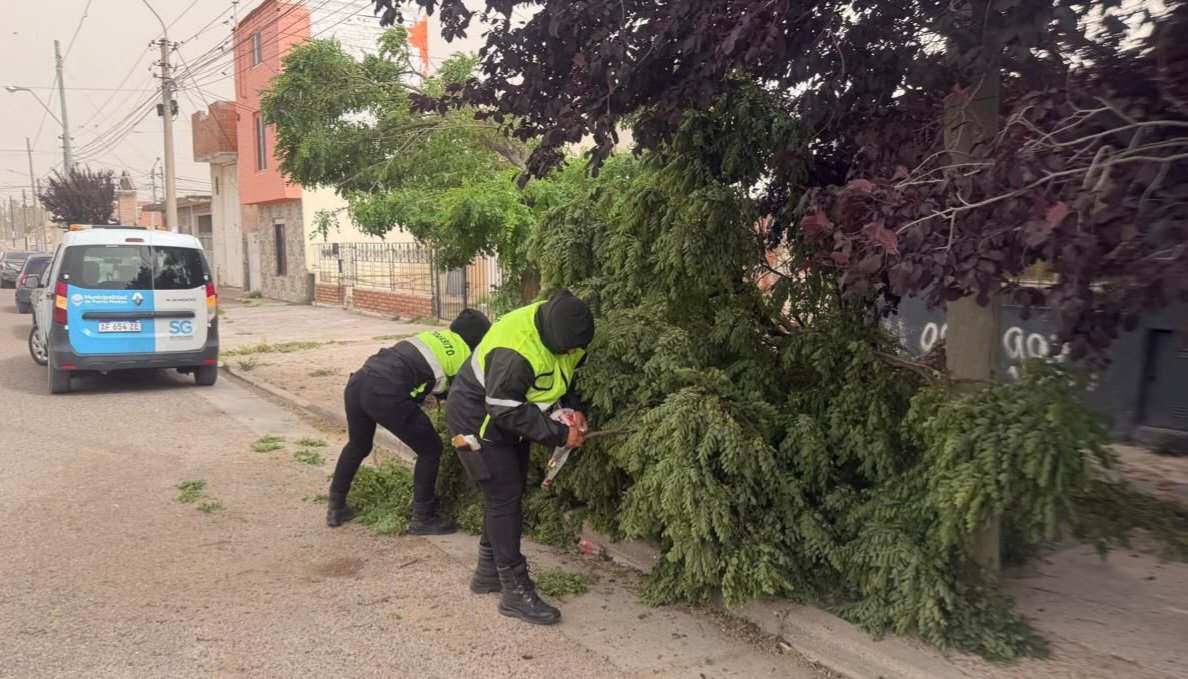 🚜 👷‍♂️ Intervenciones y tareas preventivas a raíz de caídas de postes telefónicos y árboles así como voladuras de techos, retiro de cartelería y otros elementos riesgosos en la vía pública, entre otras acciones.
