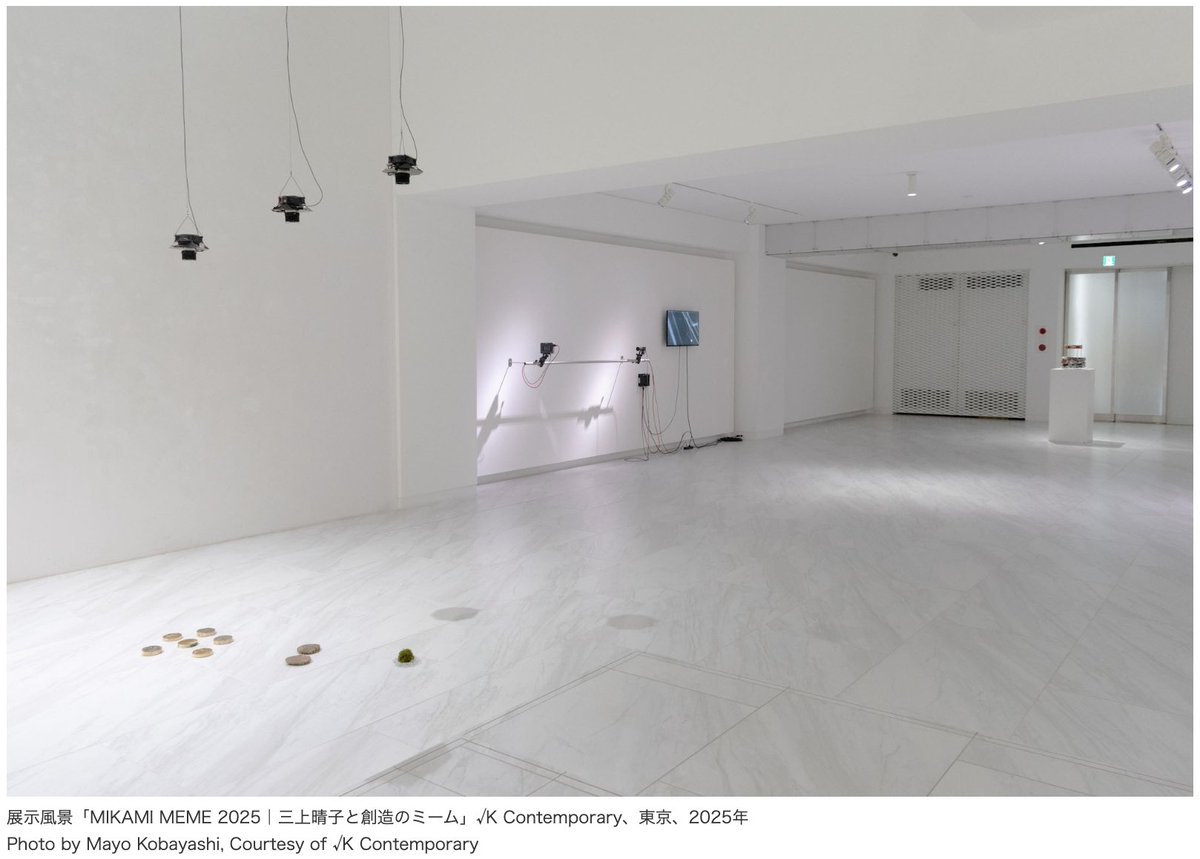 ARTiT_Tokyo's tweet photo. 【フォト】三上晴子���後10年追悼展「MIKAMI MEME 2025｜三上晴子と創造のミーム」@ √K Contemporary
10/18〜11/22｜三上からミーム（文化的遺伝子）を受け継ぎながら、独自の世界を生み出した飴屋法水、平川紀道、毛利悠子などのアーティストたちによる作品を紹介。#ARTiT https://t.co/PthrGy7Lcd https://t.co/jVdBQwUzi3