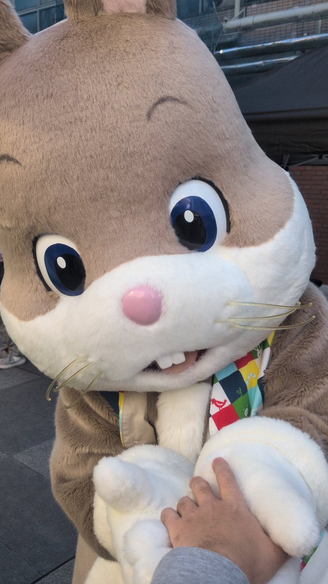 どんちゃん 今回の川越でも、どんちゃんが来てくれて、とても嬉しい〜！ 2週間前の