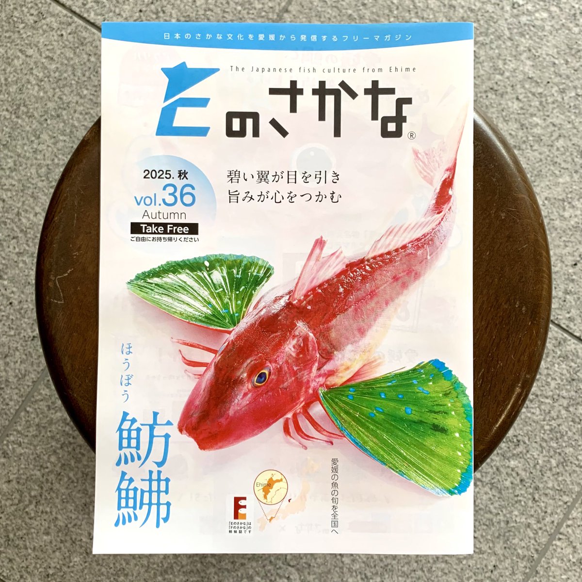 日本のさかな文化を愛媛から発信するフリーマガジン「Eのさかな」🐟 36