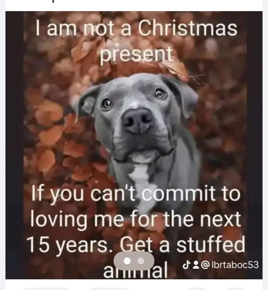 JBurgreen's tweet image. 