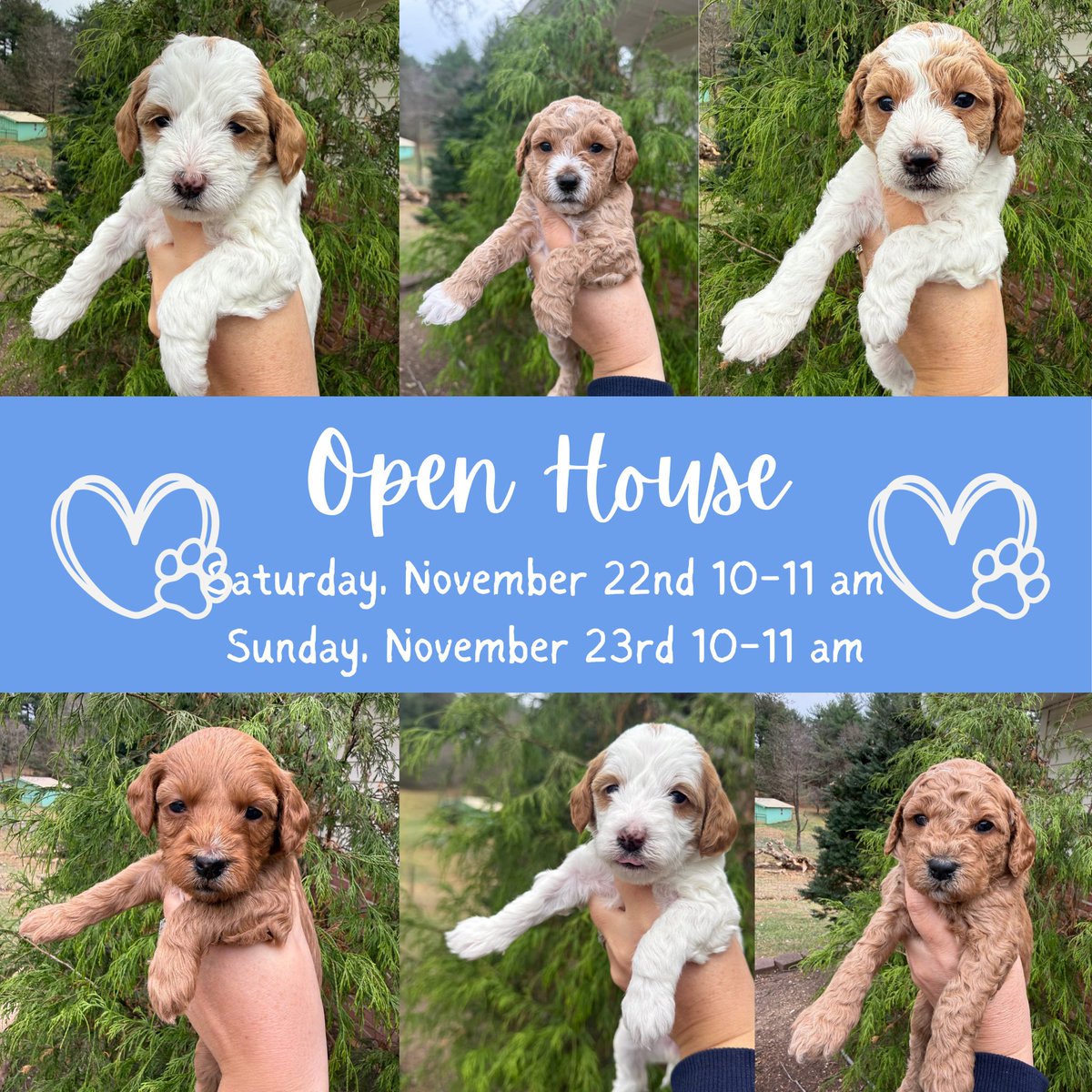 Elisabeth Halici tweet media