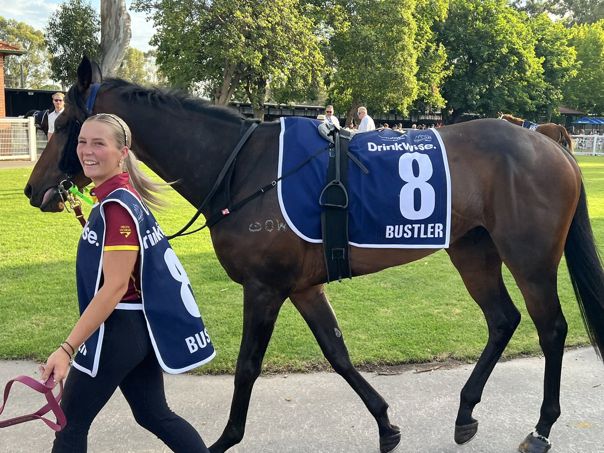 dklracing's tweet image. A wise man once told me “It is only a number”.  Hoping the Barrier gods are kind this afternoon. 🤞 #Pinnacles #Railwaystakes25