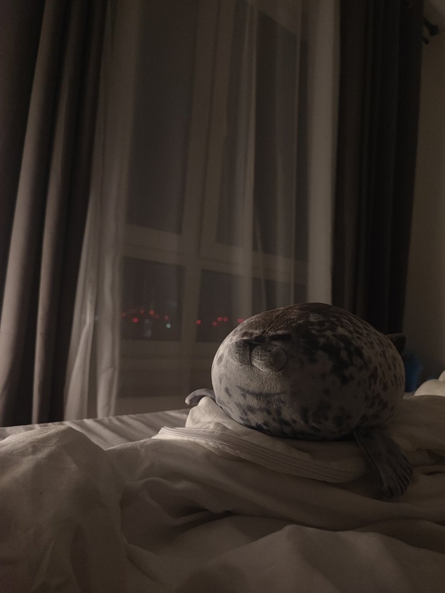 plush seal (@mekkimous) on Twitter photo 