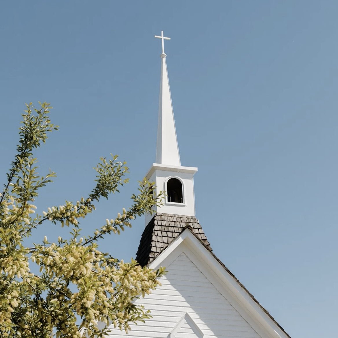 PRAYINGPLAPPS's tweet image. 