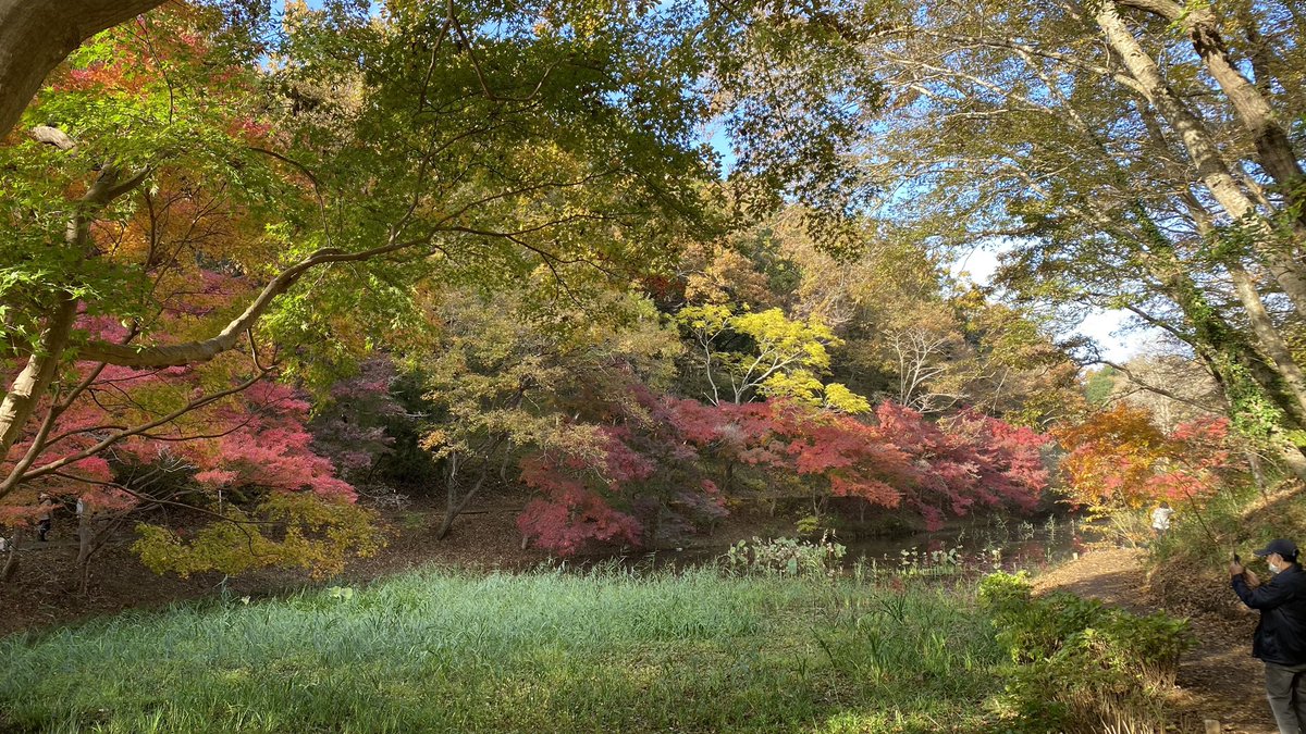 jerukbusukkkk's tweet image. This mix color of green, red, yellow, and orange is enough to heal my dull soul 🥰