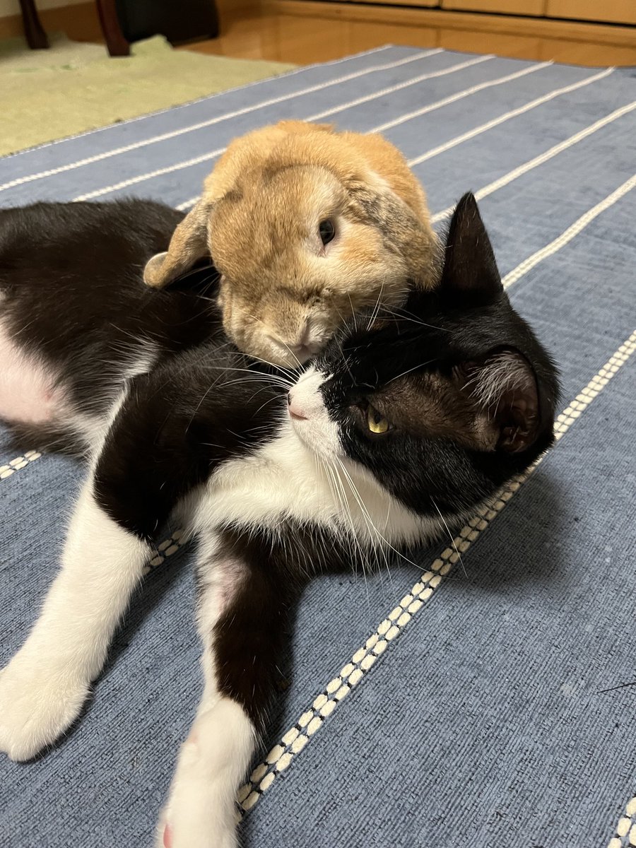 jIcyoBQbkwFz0Za's tweet image. 今日は寒いね