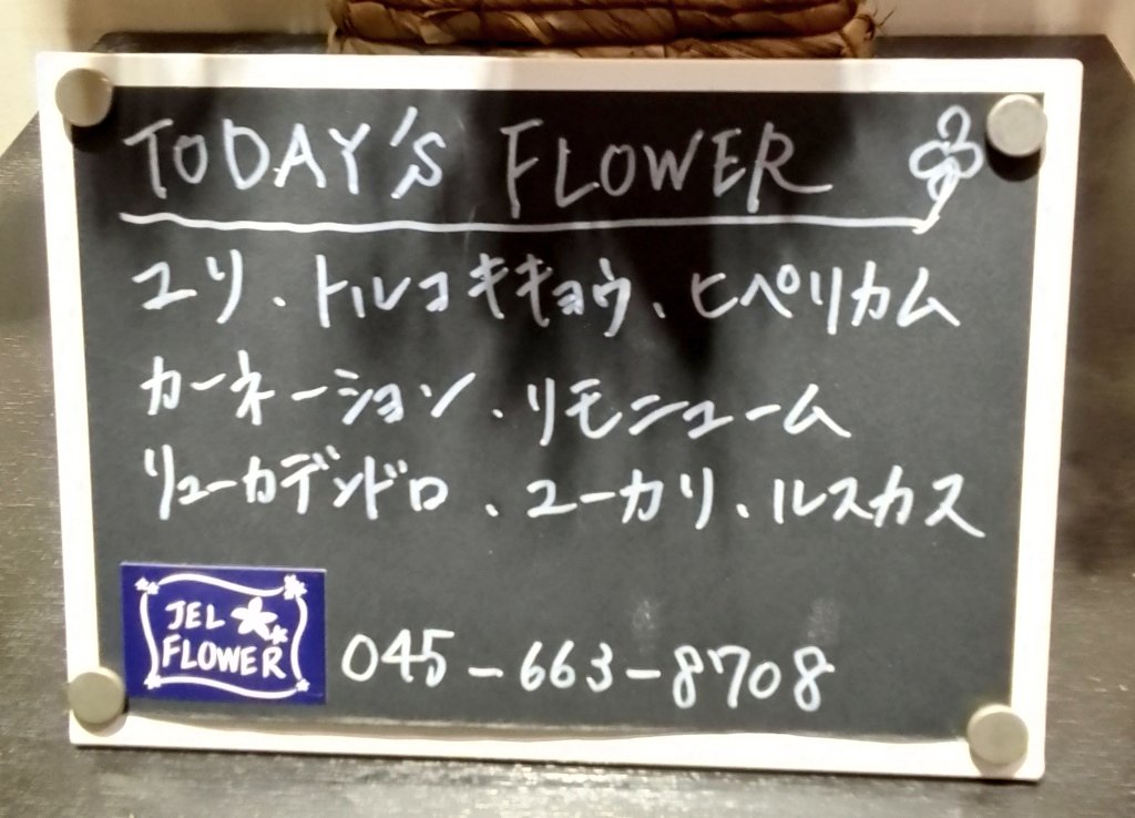 今週のお花はこちらです💐

ユーカリの花言葉は 「思い出」「新生」「健康」です✨

まだまだ寒暖差が激しい時期ですので、お身体には気を付けて花言葉のように「健康」でお過ごしください🌷🍂
皆様のご来館を心よりお待ちしております😌♨️