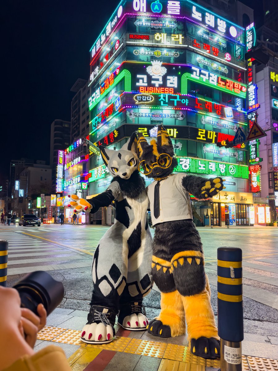 run_charizard's tweet image. evening photo session
#furstclass