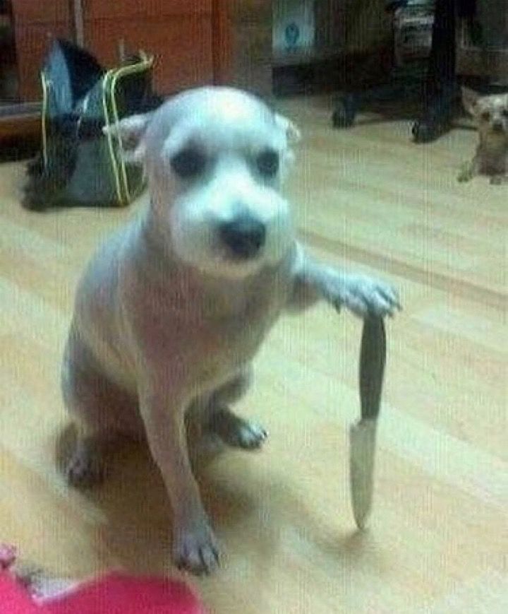 Gente por favor parem de falar que é pra anular esse enem pq se eu tiver que fazer outro enem antes de novembro de 2026 juro que me jogo na frente de um carro