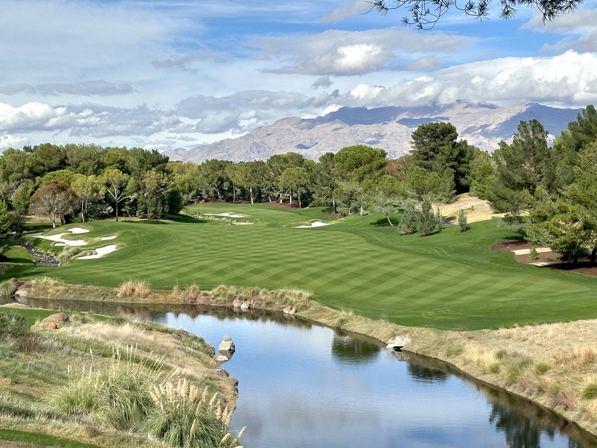 Shane Cullimore tweet media