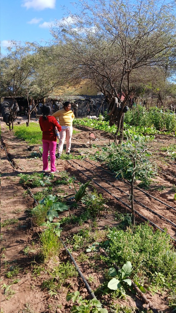 KEY protocol tweet media