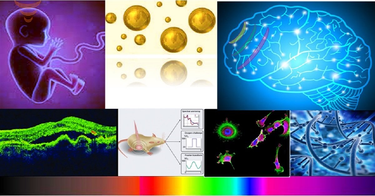 Applsci's tweet image. 📢 Read our #SpecialIssue with a high publication number
Biomedical Optics: From Methods to Applications
🔗mdpi.com/journal/applsc…
👨‍🔬 Guest Editor: Prof. Dr. Vladislav Toronov