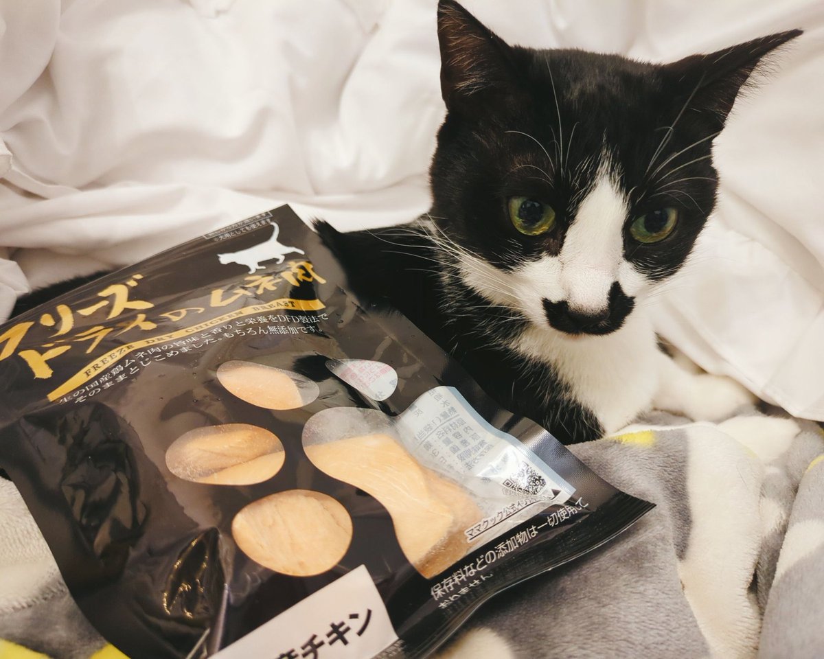 いつも決まったオヤツが多いけど、これあげてみたら食い付き凄く良い