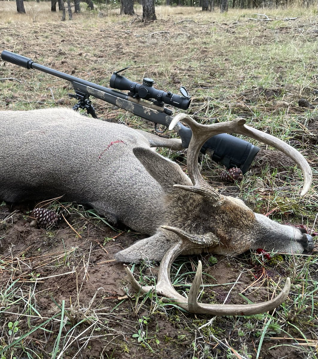 MarksmansCreed's tweet image. @hunting_call_girl (Rosa) is on a roll!  She took down this nice Idaho Whitetail over the weekend with my @christensenarms rifle!  #platinumramsclub #christensenarms #300wsm #publicland #idahobuck #deerhunting #whitetail #deerrut