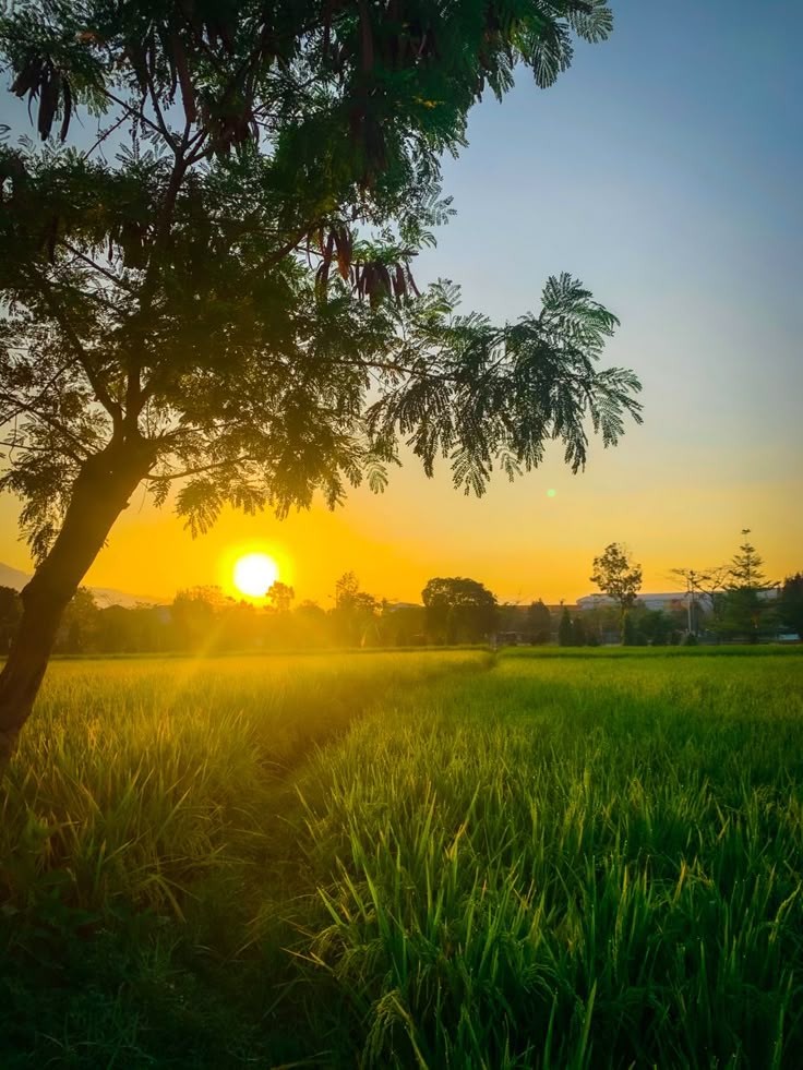 shahbazyours's tweet image. It&apos;s a new day, Good morning!

Rules for a peaceful life:

- Visit who visit you.
- Call who calls you.
- Support who supports you.
- Ignore who ignores you.