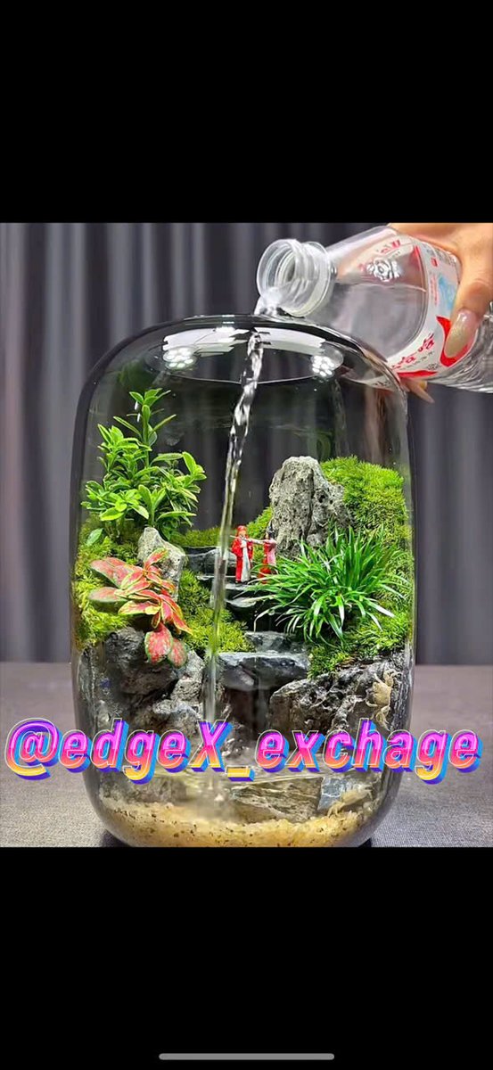 dmkoon's tweet image. besides yad @edgeX_exchange how to earn points from 
REASONABLE trading to farm volume

Use limit order to reduce fees
Trade BTC/ETH to be safe
Use low leverage to avoid burning
Long+Short balance to create volume without much risk  #edgeX #EdgeCreator #OurEdge
@edgex_official