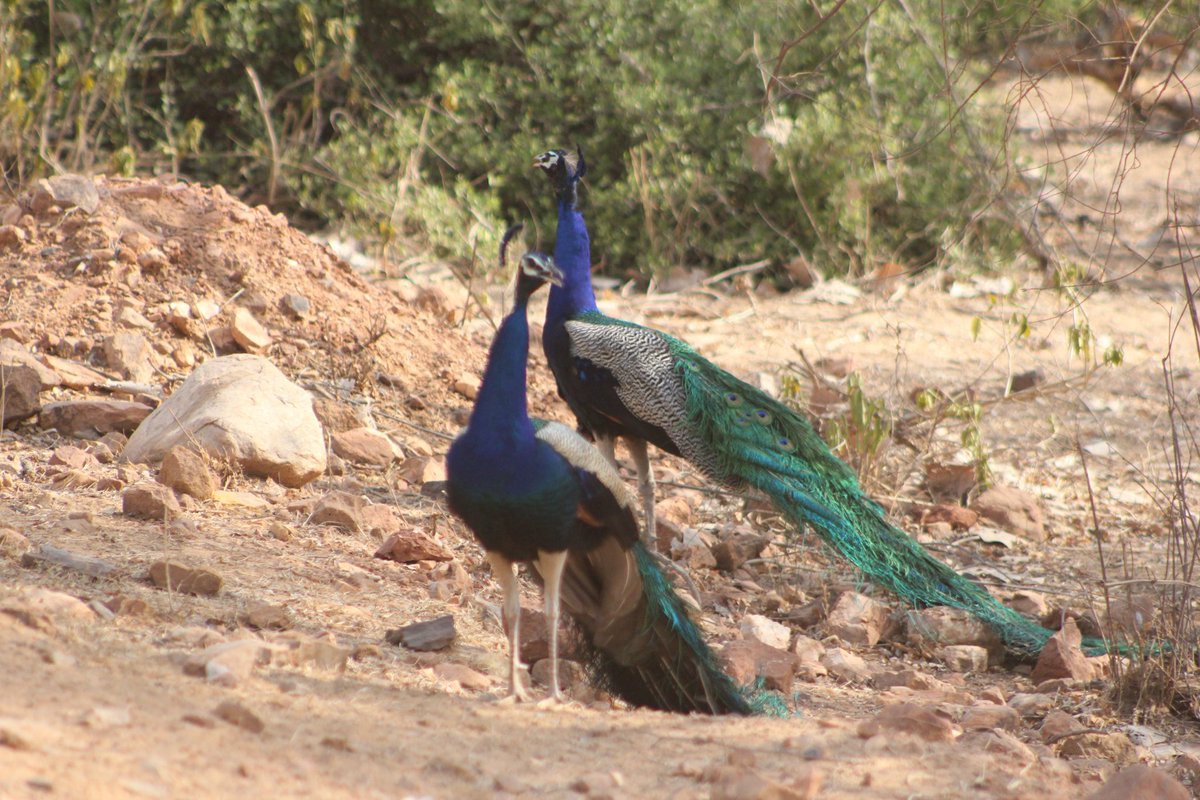 rneelmani's tweet image. Two for #twosday! #TuesdayVibes