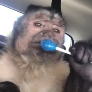 dreadlocka_'s tweet image. Eu como uma ex estudante de psicologia, quando conheço pessoas novas já penso logo
Será que os pais dela amam ela ? 
Isso faz tanta diferença nas pessoas né