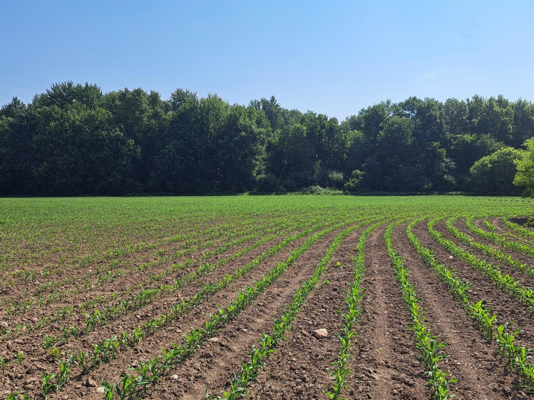 *MIXED WOODLOT*  ACREAGE FOR SALE!
farmmarketer.com/listing/fm/201…

Farm Type: Acreage
Acreage (Total): 100
Province: Ontario
Agent: Bob Heywood

#Findyourdreamproperty #farmmarketer #farmmarketer #farmrealestate #farmrealtor #cdnfarmers #farmlifeisthebest #canadarealestate