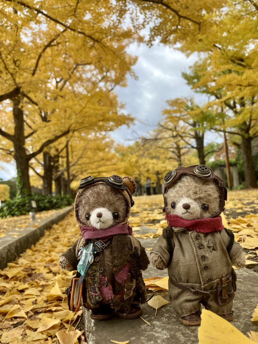 くまくろ。 (@kumakuro_bear) / Posts / X