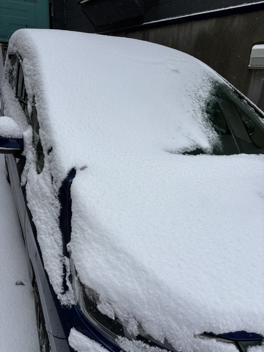 HKSWsuzu's tweet photo. 急に冬⛄️ https://t.co/T7797Zokxo