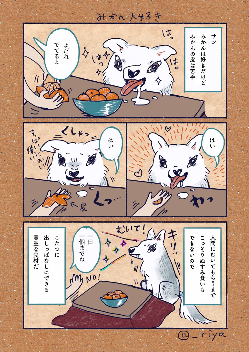 naoさん、専用です。 Naoさん専用 ナオさん専用 Naoさん専用 naoさん専用