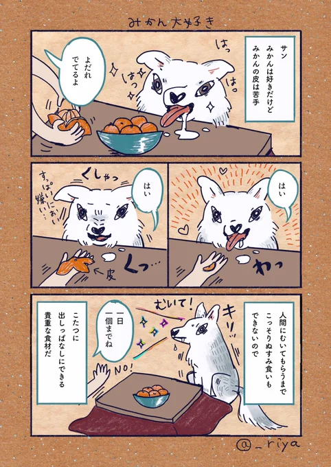 デカい狼犬との日常🐺

「みかん大好き」 