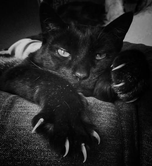 Stan Nasonov (@nasonovstan) on Twitter photo 