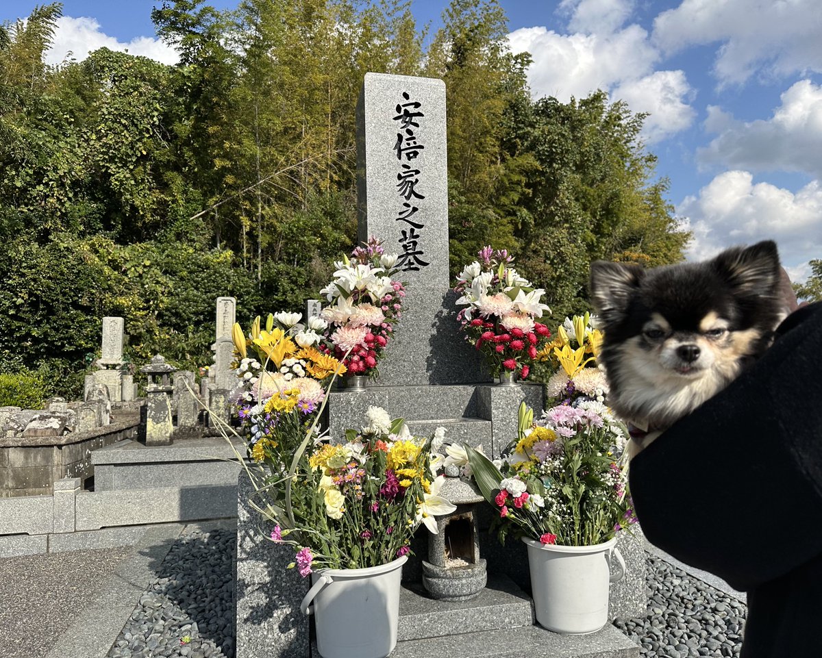freeman_0622's tweet photo. 安倍総理のお墓参りに来ることができました。

日本を見守り下さい。
どうか安らかに… https://t.co/sWIsv74SA2
