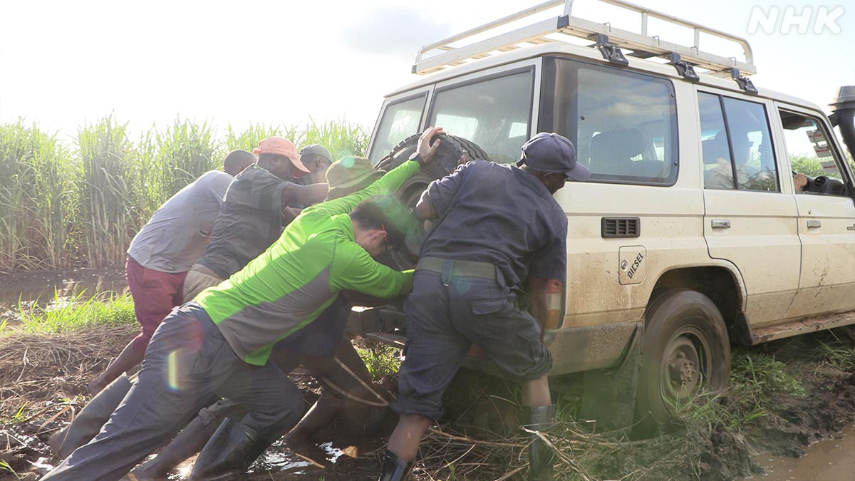 撮影地ジンバブエの道路はほとんど舗装なし

雨が降ると地面はぬかるみ
車は立ち往生･･･🌧️😱

前から押しても後ろから押しても
脱出できず途方にくれました💦💦

🟧⏰23日 日曜夜7時30分～🟧
『“手抜き”で爆増！アフリカの鳥嵐を追え』
nhk.jp/darwin/

#ダーウィンが来た