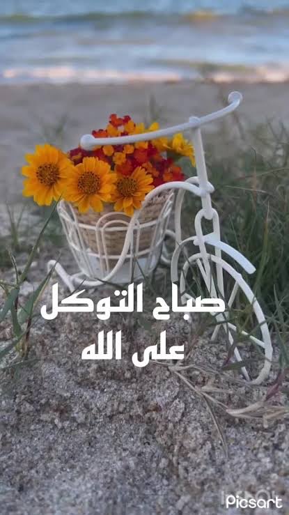 صباح النور والرضا، صباح يستبشر بما كتبه الله لنا🙏🏻💛🍃🍃