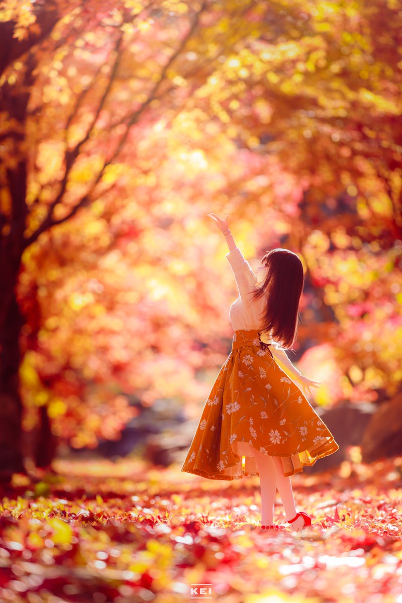 kei (@kei_JW5_S660) / Posts / X