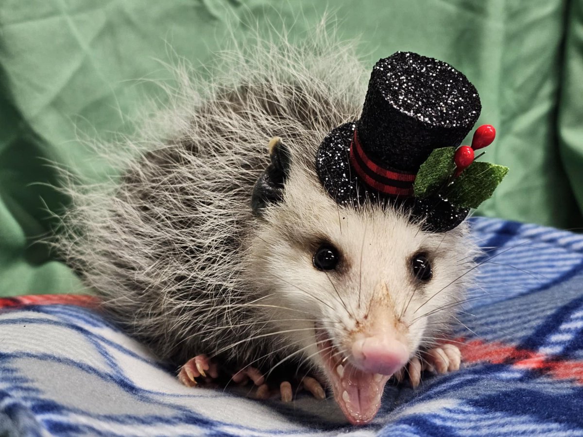 guys i have a date later

how do i look?