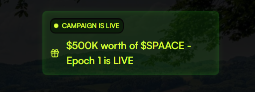 Chanimal 🍌 $APE 🦍 Noya tweet media