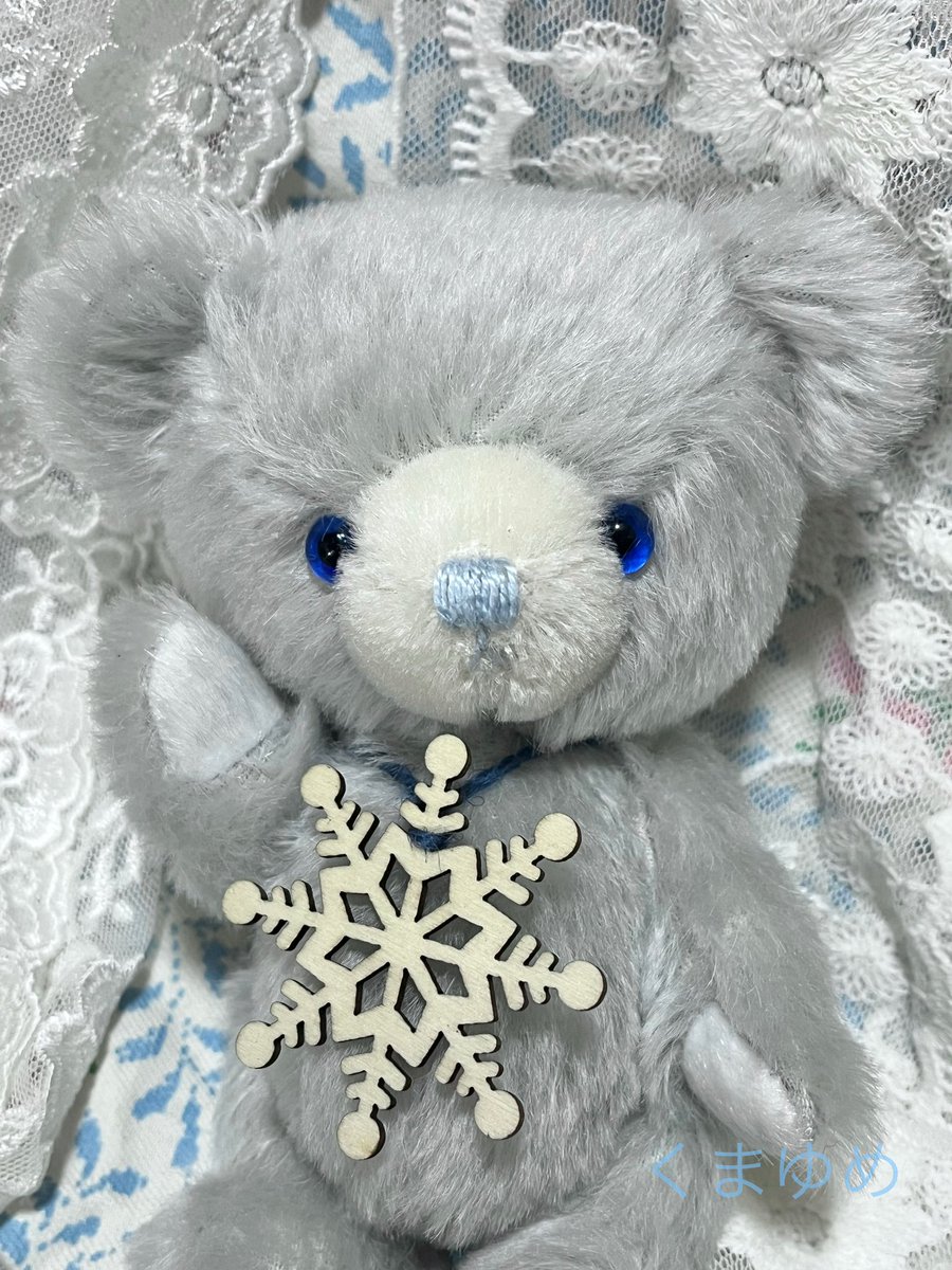 くまゆめ (@kumayume1) / Posts / X