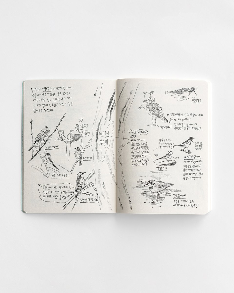 ✍️혹시...새를 좋아하시나요? 그렇다면 생활 탐조 일기 『새소식』에서 계절을 따라 새를 바라보는 어느 초보탐조인(은 저)의 이야기를 만나보세요. 저는 여전히 새가 좋습니다.  m.smartstore.naver.com/sompress